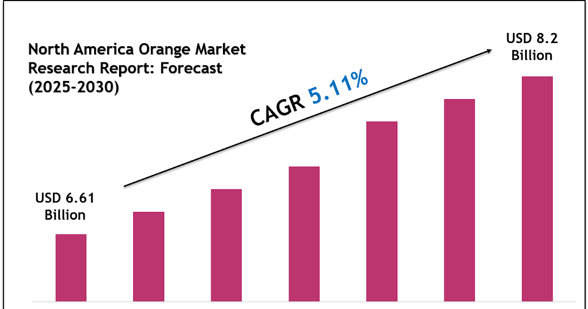 North America Orange Market Growth Outlook 2030: Volume Trends & Strategic Insights